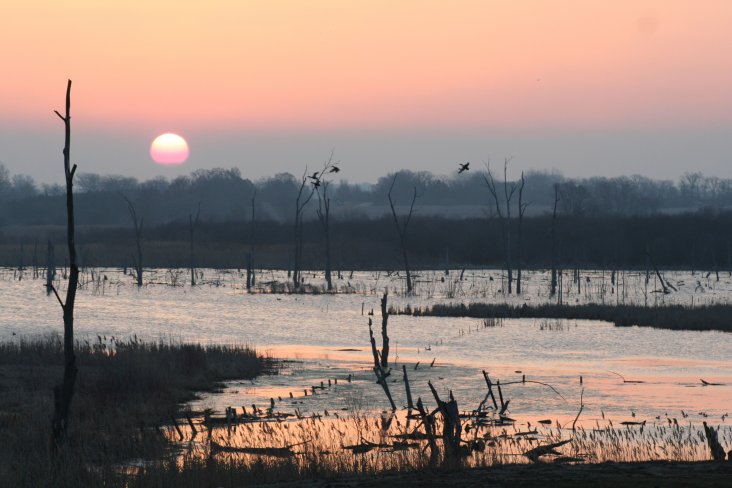 Black Crown Marsh at dusk, Lake County Forest Preserve; photo by Lori Valus